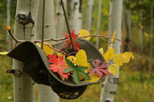 柏佳宁梁铭瑞是啥小说 柏佳宁梁铭瑞免费阅读无广告