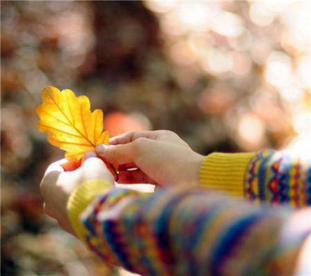 (最新)沈卫东林满满小说完整版免费阅读