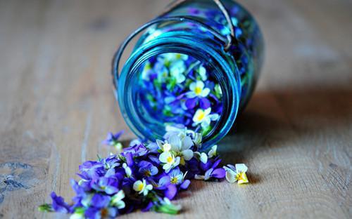 陶栀简钧棠盛千姿是什么书 陶栀简钧棠盛千姿免费章节在线阅读