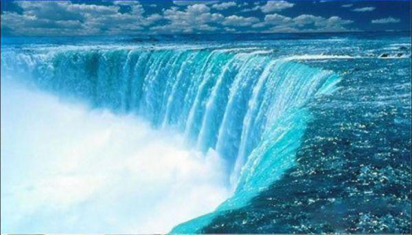 伶舟葭澹台哲小说免费阅读最新 原来被人真心爱着是这样的感觉完整版