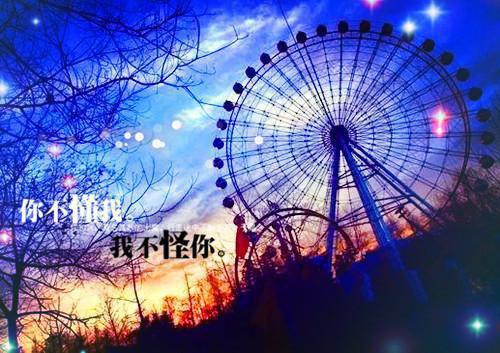 沈知聿林清浅免费小说 沈知聿林清浅在线阅读