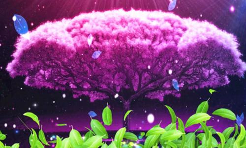 (抖音小说)宋时微李跃洲林思菀小说全文阅读免费