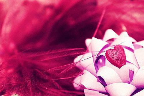 秦挽秦政小说章节目录 秦挽秦政免费阅读第1章