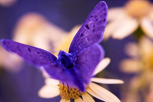 林清茉池商聿林清茉池商聿无广告小说免费在线阅读