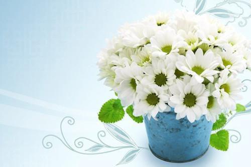 江一晴宋遇云枝小说 桐花几时落章节阅读