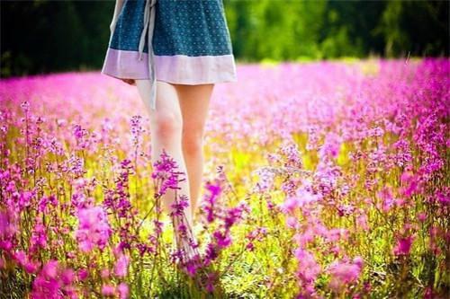 云汀雨商聿舟免费全文 云汀雨商聿舟小说在线阅读