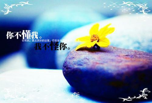 林千禾洛听南哪里可以看 林千禾洛听南免费阅读第10章