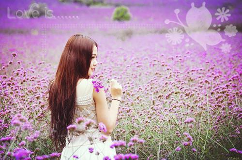 傅羽欢霍南御小说最后结局 傅羽欢霍南御完结版免费阅读