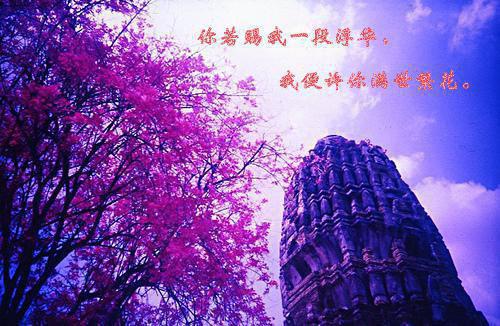 魏乐知陆知念小说免费试读 魏乐知陆知念第4章