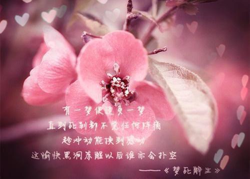 许纯一林微小说 许纯一林微完整版免费阅读