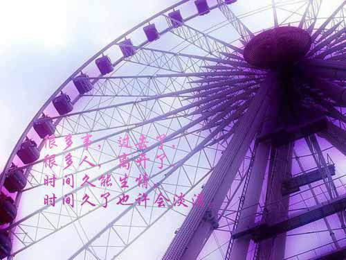 苏念卿沈泽宇完整版 苏念卿沈泽宇小说全文在线阅读