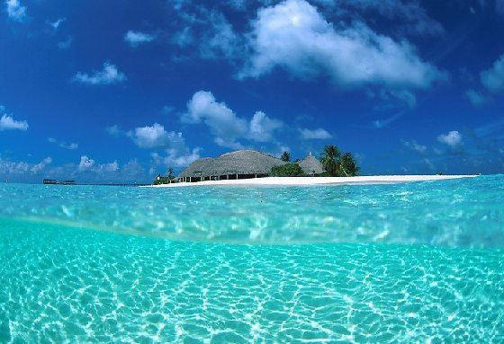 林夏傅峥目录 林夏傅峥无弹窗阅读