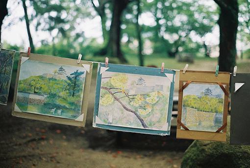 奚禾纪彦之是什么书 奚禾纪彦之免费章节在线阅读