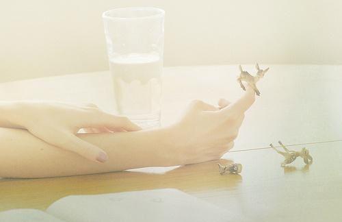 秦铭顾雨菲小说在线阅读 秦铭顾雨菲最新章节目录