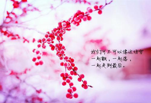 陆烬林婉小说最后结局 陆烬林婉完结版免费阅读