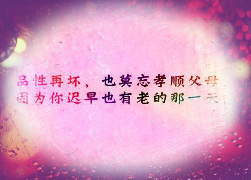 芙蓉花落人海里佚名 宋洛洛谢行澜南殊月小说