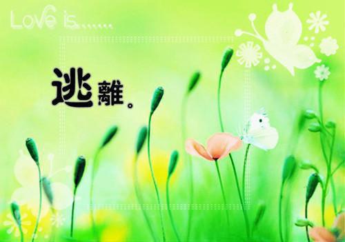 说好生龙子封后,我却生下一窝猫在线阅读 萧玦苏晚晴青岚小说