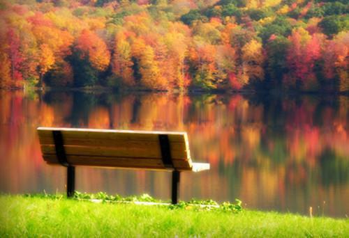 薛月月薛建国全文免费阅读最新 薛月月薛建国第1章