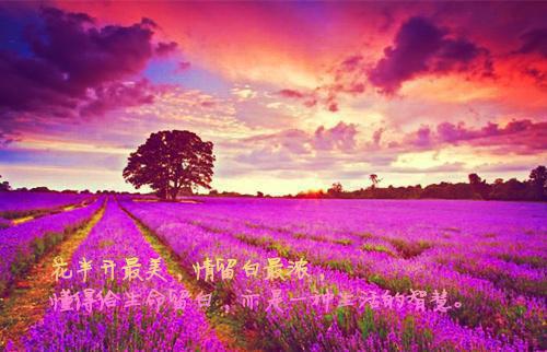 苏婉周明轩小说章节目录 苏婉周明轩免费阅读第9章