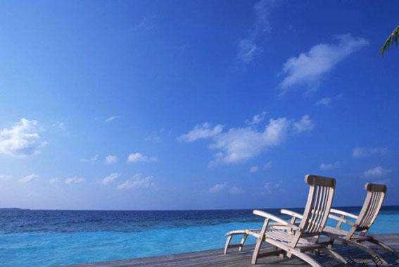 樱花落尽又逢君最新更新 姜妩沈言沈晚免费读