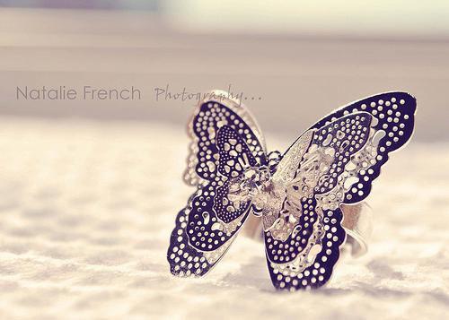 姜暮裴津乔最新章节 姜暮裴津乔在线阅读