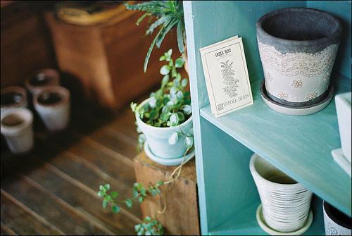 傅羽欢霍南御的小说 傅羽欢霍南御全文免费阅读