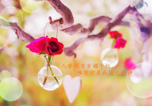 主角是洛长青澹台的小说免费阅读全文大结局