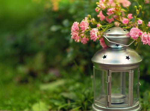 寒门青云路:我在大景考状元林牧陈大福小说(完整)免费阅读