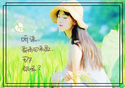 叶念念陆辰宇(结局) 叶念念陆辰宇免费阅读全文