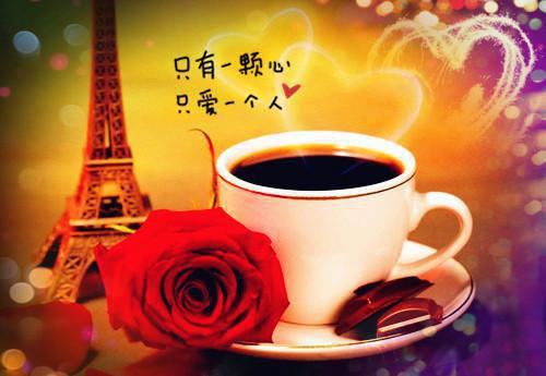 叶枫江雪儿免费小说 叶枫江雪儿全文阅读目录