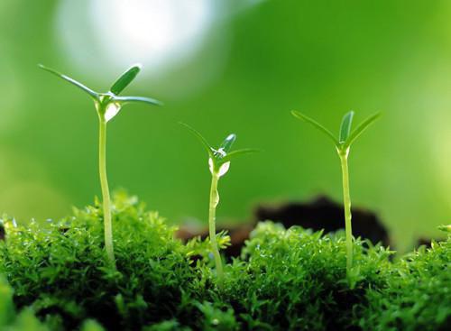 神明的我,灵气复苏后带飞国家免费阅读 林凡林风小说无弹窗