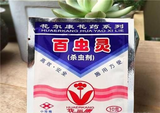 百虫灵使用方法