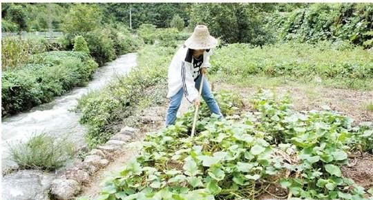 夏天应该注意什么