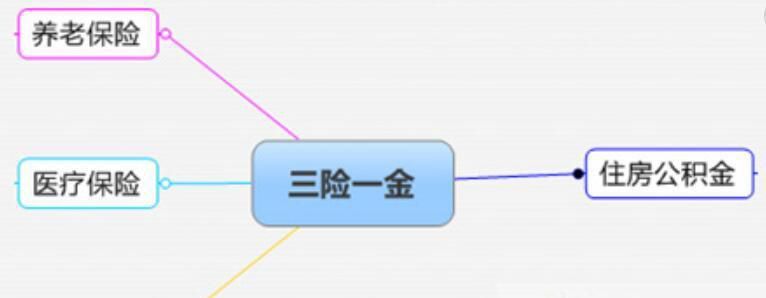 五险一金和三险一金的缴费比例,五险一金如何办理