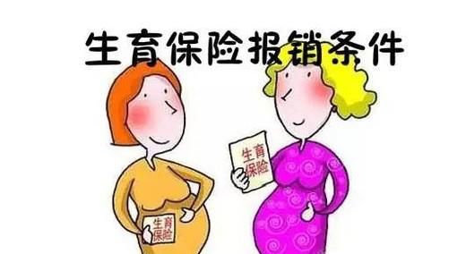 社保中的生育保险怎么用