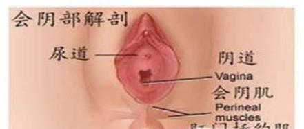 顺产会阴侧切伤口红肿怎么办