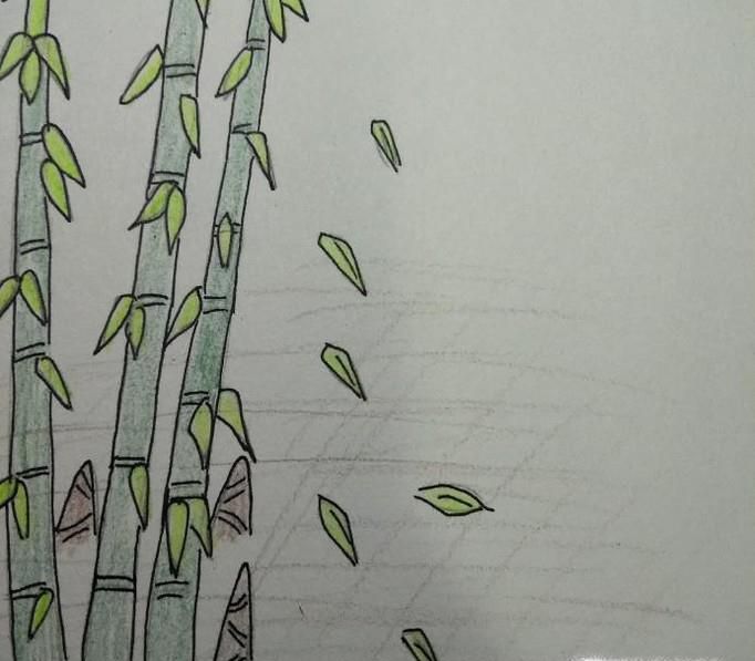简笔画笋芽和竹子图片
