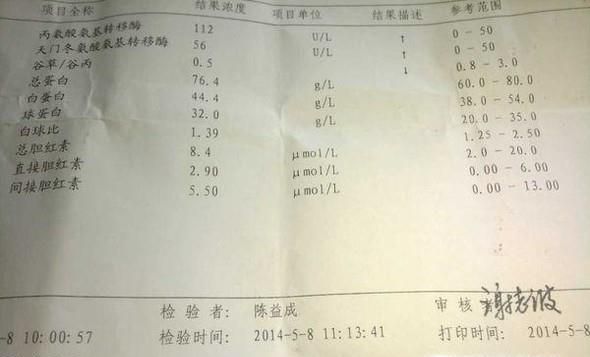 丙氨酸氨基转移酶高