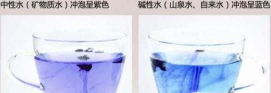 黑枸杞泡水的色彩与差异